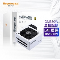 鑫谷（Segotep）GN650/750/850W电源金牌直出双CPU供电温控宽游戏台式主机电脑电源 GM850 冰山版...