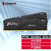 金士顿 (Kingston) 32G5600骇客套装(16G*2) DDR5台式机内存 Beast野兽系列