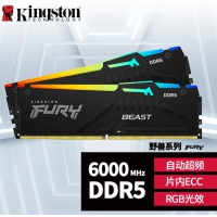 金士顿（Kingston）32G6000骇客灯条套装(16G*2)RGB DDR5 台式机...