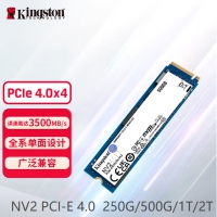 金士顿(Kingston) NV2系列 250GB SSD固态硬盘 M.2接口(NVMe协议 PCIe 4.0...