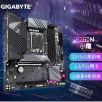 技嘉（GIGABYTE）B760M AORUS ELITE D4小雕主板DDR4内存