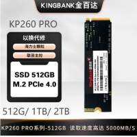 金百达(KINGBANK) KP260 PRO 1T M.2 NVMe 固态硬盘