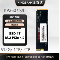 金百达(KINGBANK) KP260 512G M.2 NVMe 固态硬盘