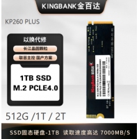 金百达(KINGBANK) KP260 Plus 512G M.2 NVMe 固态硬盘