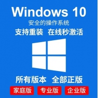 正版win10专业版 windows11家庭版升级企业版教育工作站 win11家庭版升级专...