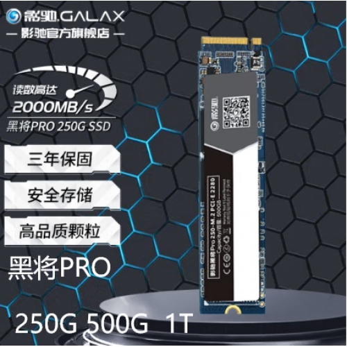 影驰（Galaxy） 黑将PRO 1T SSD固态硬盘 M.2接口(NVMe协议)