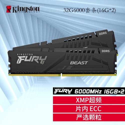 金士顿（Kingston）32G6000骇客单条  DDR5 台式机内存 Beast野兽系列