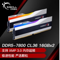 芝奇(G.SKILL) 幻锋戟 银色 32G7800MHz DDR5 F5-7800J3646H16GX2-TZ5RS(2X16GB)电脑台式机内存