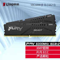 金士顿（Kingston）32G6000骇客单条  DDR5 台式机内存 Beast野兽系列