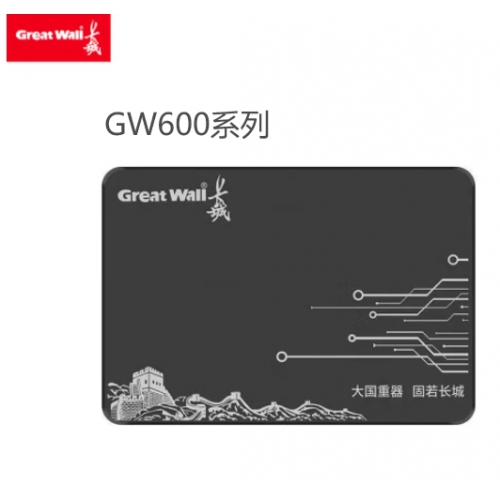 长城GreatWall GW600 128G 2.5、 SSD固态硬盘