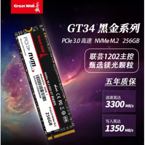 长城GreatWall GT34黑金系列/GW3300 512G M.2 NVME3.0 SSD固态硬盘