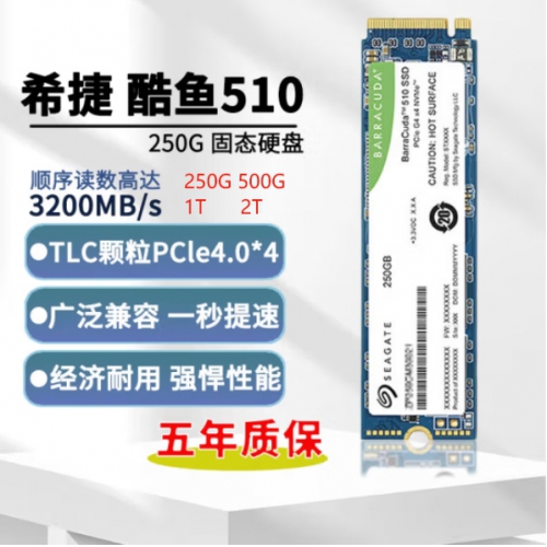 希捷（SEAGATE）酷鱼510系列 500G PCIe 4.0 M.2接口NVMe协议 SSD固态硬盘