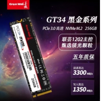 长城GreatWall GT34黑金系列/GW3300 128G M.2 NVME3.0 SSD固态硬盘