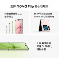 华为HUAWEI Nova Flip 256G 512G 小折叠手机 向新绿 256G全网通 手机