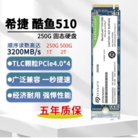 希捷（SEAGATE）酷鱼510系列 250G PCIe 4.0 M.2接口NVMe协议 SSD固态硬盘