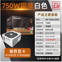 航嘉（Huntkey）WD750EVO 白色 750W 铜牌直出 电脑电源