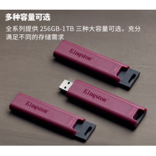 金士顿（Kingston）DTMAXA 256GB USB3.2 大容量固态U盘  读速高达1000MB/s 写速900MB/s 学习办公投标电脑通用