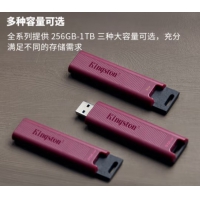 金士顿（Kingston）DTMAXA 256GB USB3.2 大容量固态U盘  读速高达1000MB/s 写速900MB/s 学习办公投标电脑通用